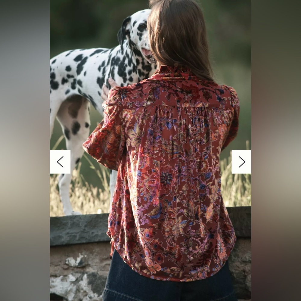 Anthropologie: The Estela Burnout Sheer Printed Blouse - Picture 4 of 14